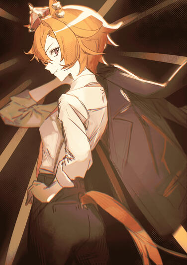 ok opera we see the fit